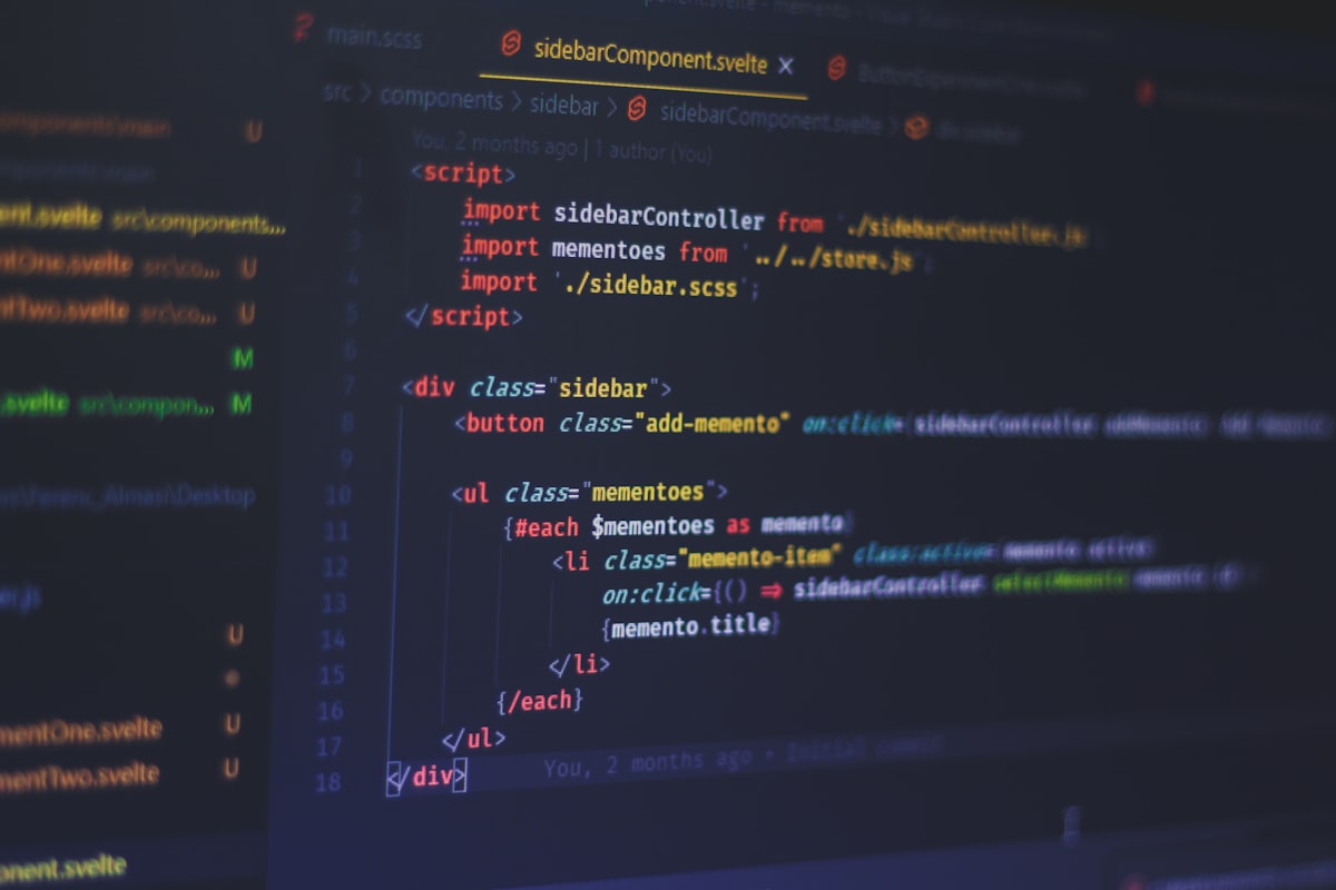 Sviluppatore al lavoro su WordPress